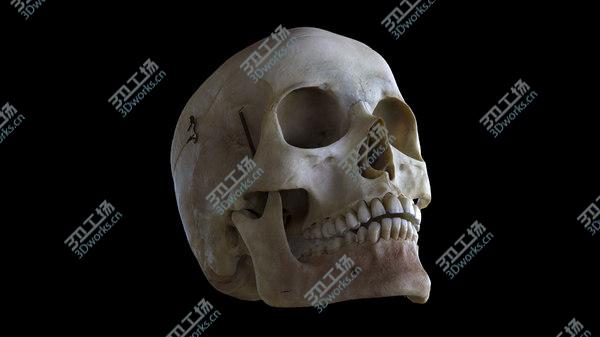 images/goods_img/20210312/Human Skull(1) 3D/1.jpg